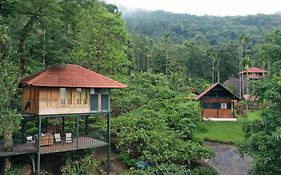 Avadale Wayanad - Stag Groups Not Allowed